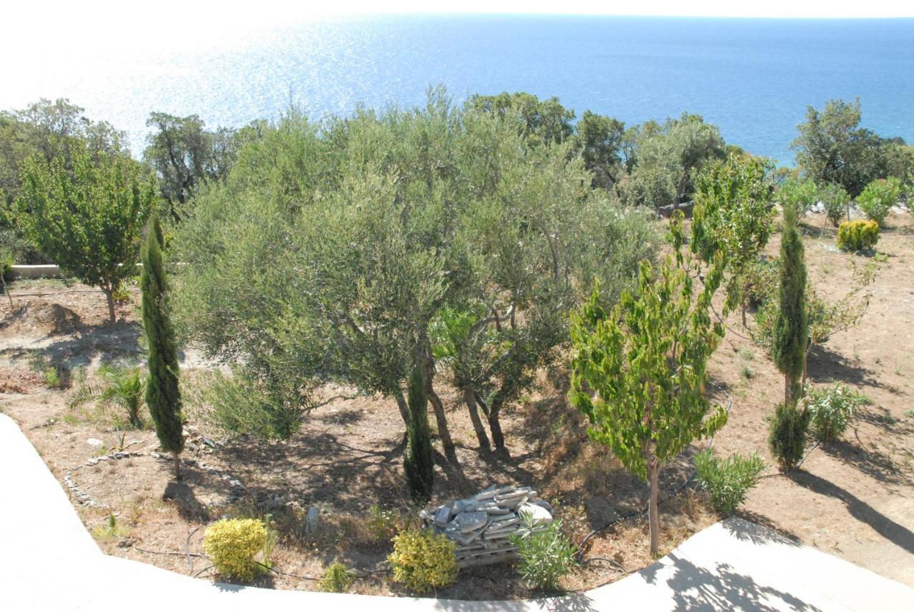Appartement Vue Sur Mer Santa-Maria-di-Lota Exterior foto